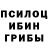 Галлюциногенные грибы мицелий Albert Kushhov