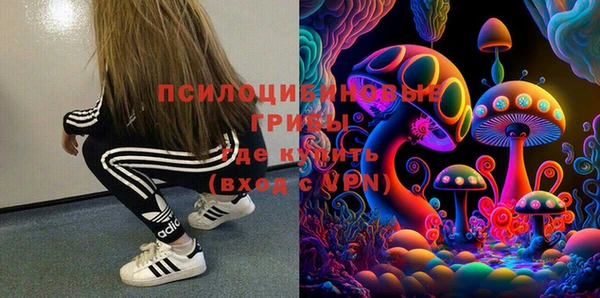 тгк Алексин